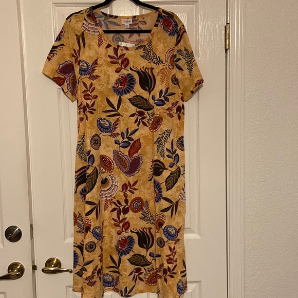 LuLaRoe Dresses & Skirts - Gorgeous Jessie dress from Lularoe.  Size 2XL and NWT